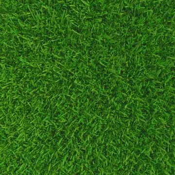 Green grass. background texture. fresh spring green grass. 3d rendering. Stock-Illustration