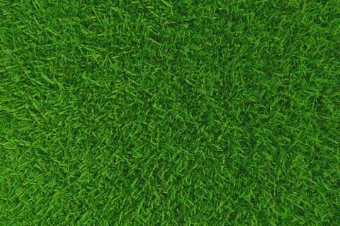 Green grass. background texture. fresh spring green grass. 3d rendering. Illustrazione stock
