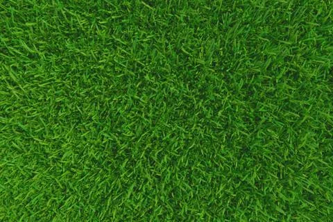 Green grass. background texture. fresh spring green grass. 3d rendering. Stock Illustration