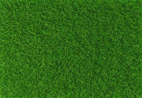 Green grass. background texture. fresh spring green grass. 3d rendering. Stock-Illustration
