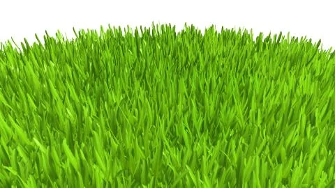Green grass. background texture. fresh spring green grass. 3d rendering. Stock Illustration