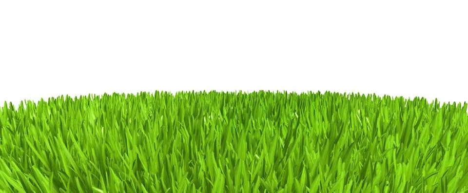 Green grass. background texture. fresh spring green grass. 3d rendering. Stockillustratie