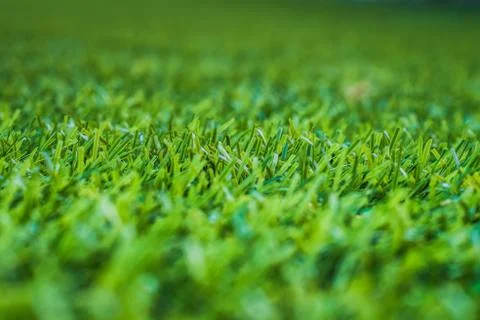 Green grass. background texture. fresh spring green grass. 写真素材