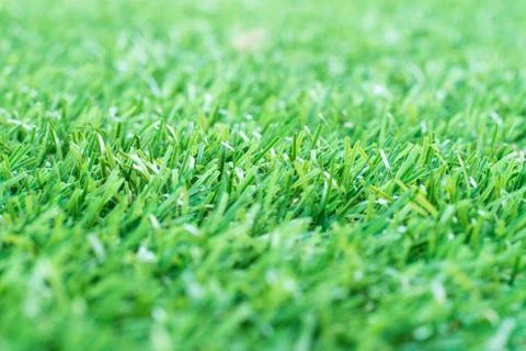 Green grass. background texture. fresh spring green grass. Stock Photos