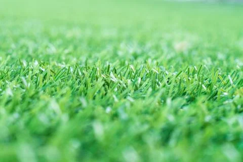 Green grass. background texture. fresh spring green grass. Stock Photos