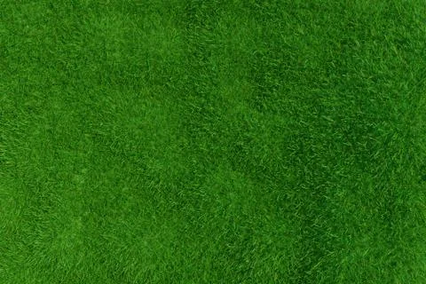 Green grass. background texture. Stock Illustration