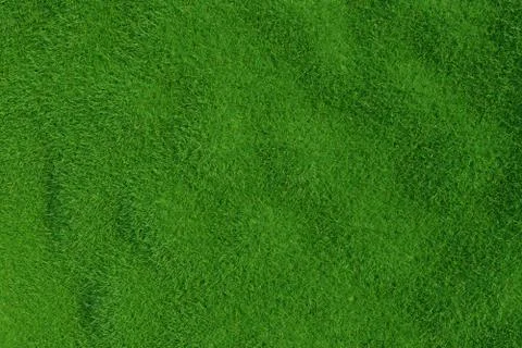 Green grass. background texture. Illustrazione stock