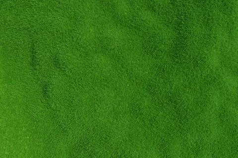 Green grass. background texture. Stock-Illustration