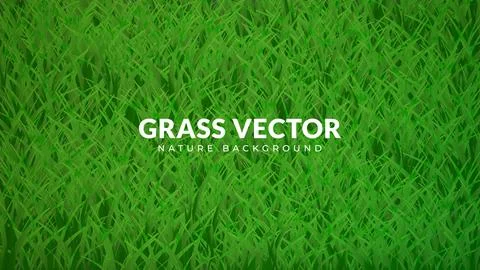Green grass background texture Stock-Illustration