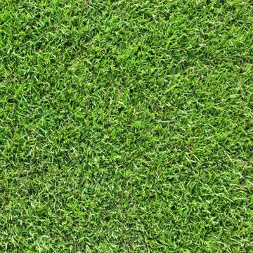 Green grass background texture. Foto stock