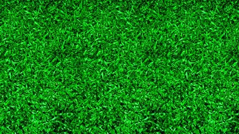 The green grass background texture Stock Photos