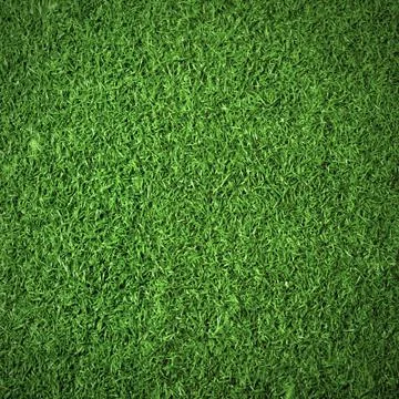 Green grass background texture Stock Photos