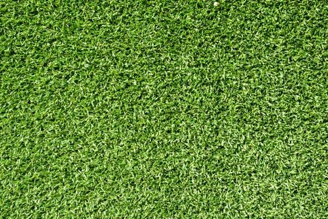 Green grass background texture 스톡 사진