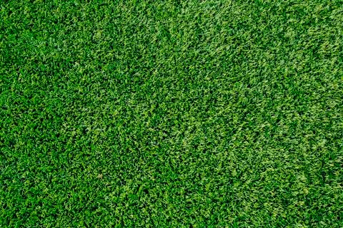 Green grass background texture. Stock Photos