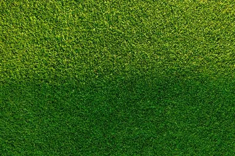 Green grass background texture. Stock-Fotos