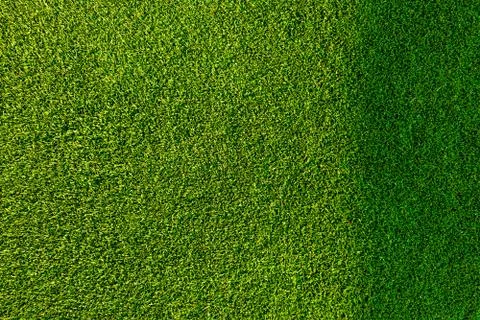Green grass background texture. Stock-Fotos