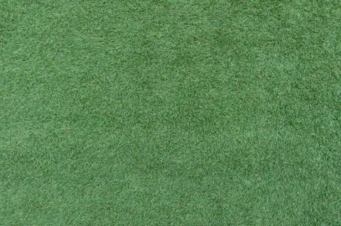 Green grass background texture. Stock-Fotos