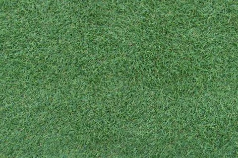 Green grass background texture. 스톡 사진