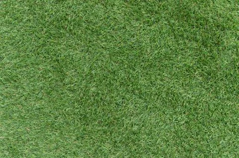 Green grass background texture. 스톡 사진