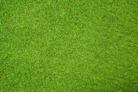 Green grass background texture Stock Photos