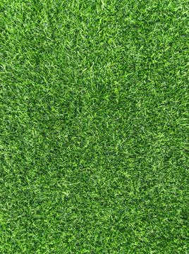 Green grass as the background texture Stock Photos