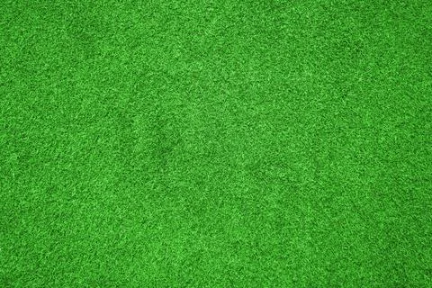 Green grass background texture. Stock Photos