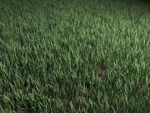 Green grass background texture straight Stock Illustration