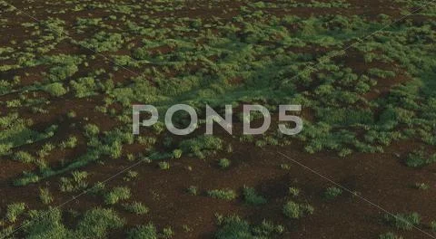Green grass background texture straight Stock Illustration
