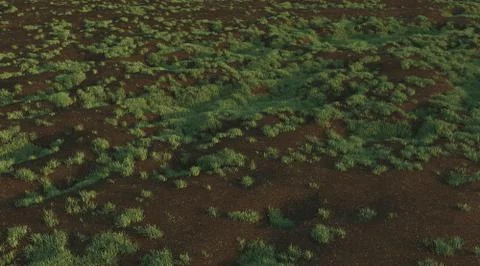 Green grass background texture straight Stock Illustration