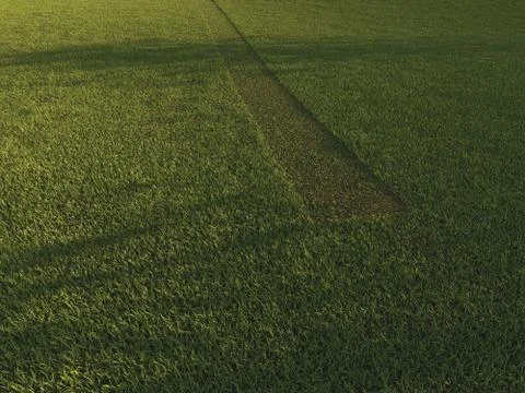 Green grass background texture straight Stock Illustration