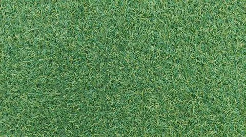 Green grass background top view Stock Photos