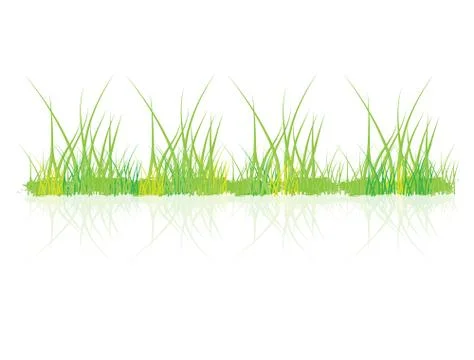 Green grass background vector design Stock Illustration