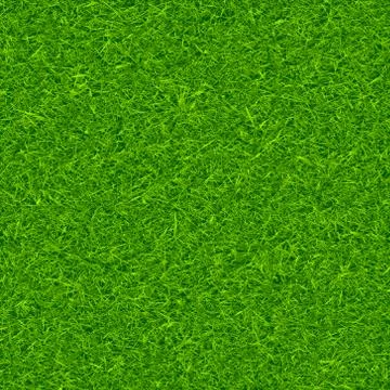 Green grass background vector Stock Illustration