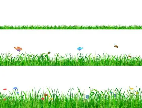 Green grass backgrounds borders with flowers, butterflies and bees. Stock Illustration