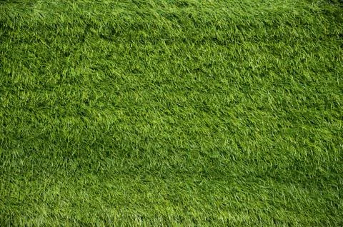 Green grass backgrounds Stock Photos