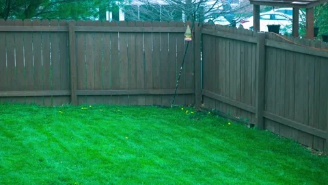 Green Grass in the Backyard During Spring Rain Stock Footage 237967765