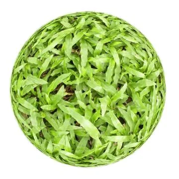 Green grass ball Stock Photos