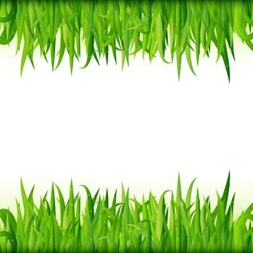 Green grass banner Stock Illustration