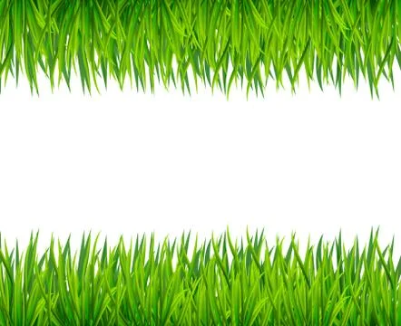 Green grass banner. Vector background Stock Illustration