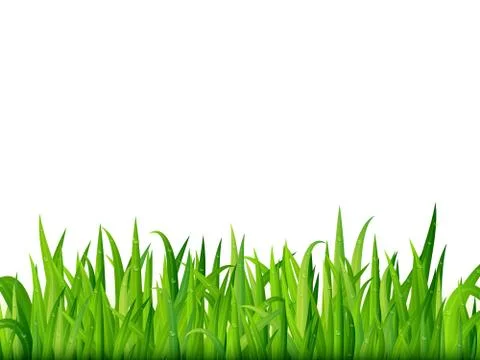 Green grass banner. Vector background Stock Illustration