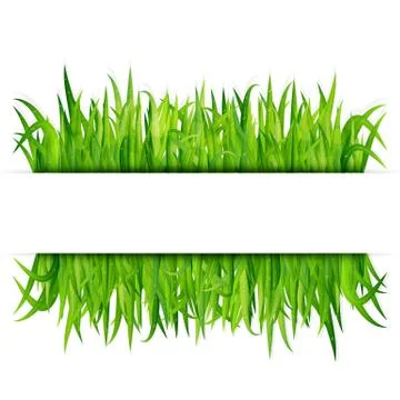 Green grass banner. Vector background Stock Illustration