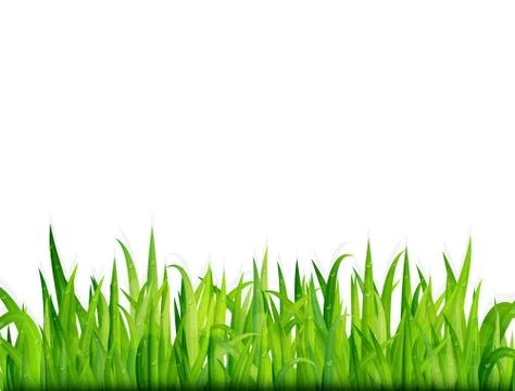 Green grass banner. Vector background Stock Illustration
