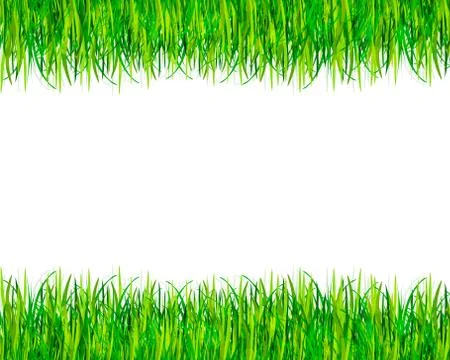 Green grass banner. Vector background Stock Illustration