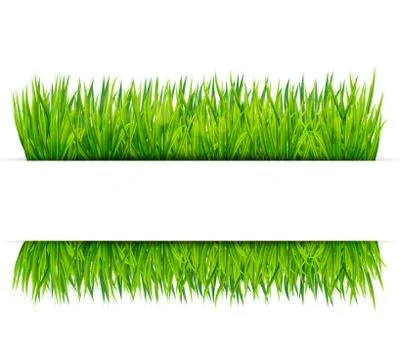 Green grass banner. Vector background Stock Illustration