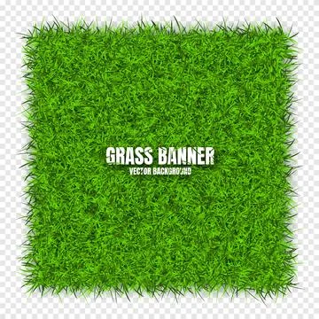 Green grass banners, background. Field, meadow texture, grassy landscape Stock Illustration