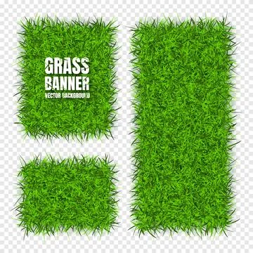 Green grass banners, background. Field, meadow texture, grassy landscape Stock Illustration