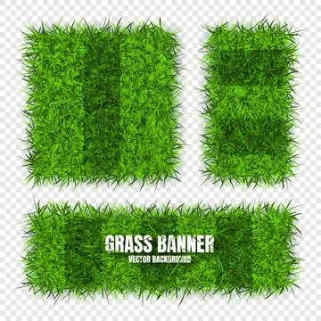 Green grass banners, background. Field, meadow texture, grassy landscape 스톡 일러스트