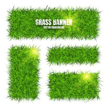 Green grass banners, background. Field, meadow texture, grassy landscape Illustrazione stock