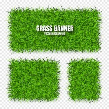 Green grass banners, background. Field, meadow texture, grassy landscape Illustrazione stock