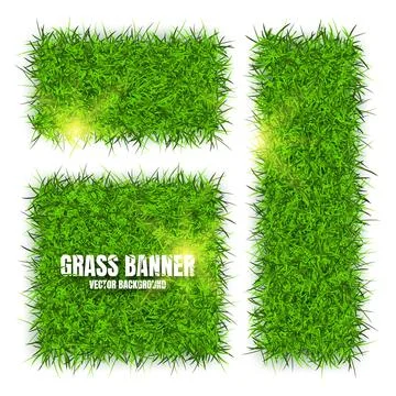 Green grass banners, background. Field, meadow texture, grassy landscape Illustrazione stock